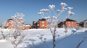 Белые Росы. Россия. Новосибирск