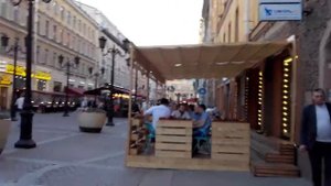 Кот Елисей и кошка Василиса на Малой Садовой улице в Санкт-Петербурге