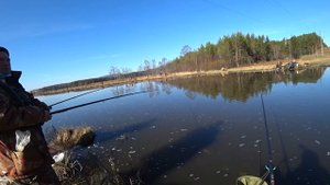 ЧЕРНОИСТОЧИНСКИЙ ВОДОЁМ, МАЙСКАЯ СОРОГА! ЕЛЕЦ! ЛЕЩ! ПОПЛАВОЧНАЯ РЫБАЛКА И БОКОВОЙ КИВОК!