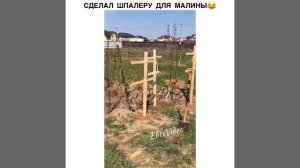 Сделал шпалеры для малины...таджики убежали :)