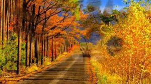 РЯБИНА ЗРЕЕТ В СЕНТЯБРЕ (исп. А.Чешуин)