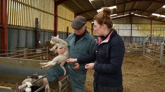 A Tail docking demonstration - Lamlac смотреть онлайн