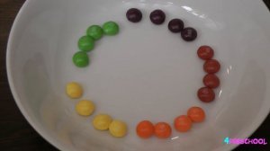 Радуга в тарелке. Опыт для детей. Вода или молоко и skittles