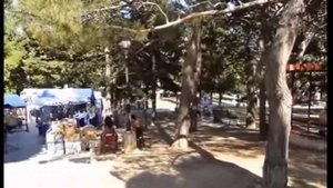 Мне достаточно знать, что ТЫ - есть Елена Бычкова﻿, муз. и исп. Самуил Фрумович.wmv