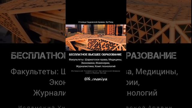 Бесплатно обучение в Медине