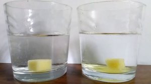 Эксперимент с сахаром