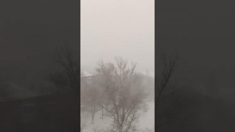 Сейчас в Рязани. метель!!!
