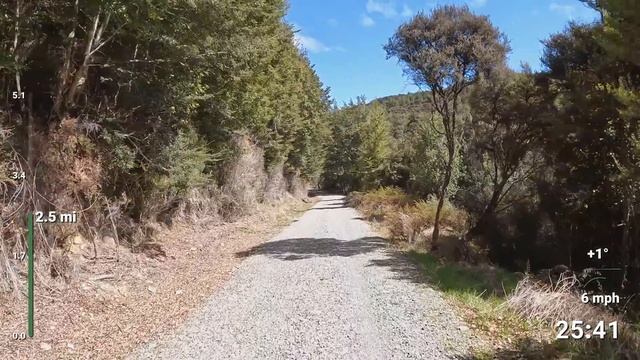 Virtual Run | Virtual Running Videos Treadmill Workout Scenery | Forest and River Run, Te Anau, смотреть онлайн