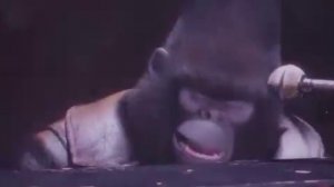 Зверопой(2016). Я не сдамся! (I'm still standing) Перевод и укладка на русском