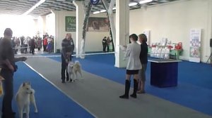 Лайки С ТУРУХАНСКОГО КРАЯ в Красноярске.