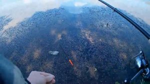 Фильм про рыбалку 2023г..movie