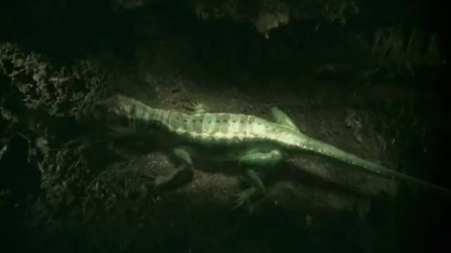 Палеозойская эра Жизнь до динозавров смотреть онлайн