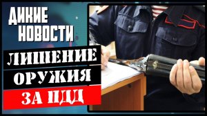 За что лишают оружия_Акула убийца_Охота на чаек_Медведь террорист_Дикие новости