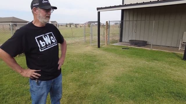 BEST Pocket Bullies In The ? ? смотреть онлайн