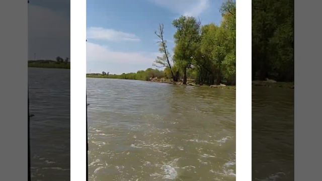 2 июня 2023 г. смотреть онлайн