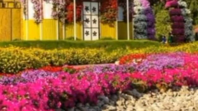 417.ЗАГОВОР НА ИСПОЛНЕНИЯ ЗАДУМАННОГО