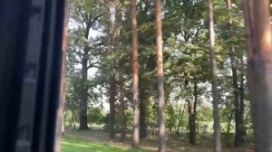 Аттракцион На ВДНХ паровоз поездка по Окружной ВДНХ ??