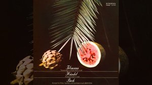 Flute Sonata in B Minor, Op. 1, No. 9, HWV 367b: VI. Andante