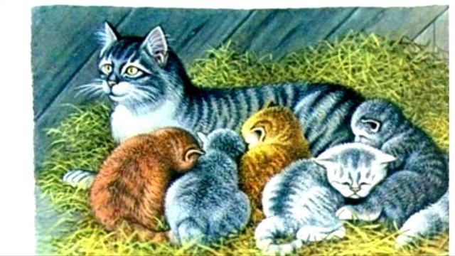 Видеоурок ТемаКотенок Л.Н.Тостой старшая группа смотреть онлайн