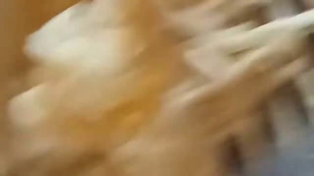 Завариваем Доширак ПЕТРА! – Самыый ДЕШЁВЫЙ лапша! смотреть онлайн