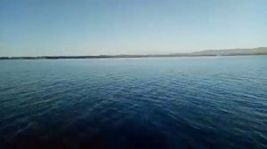 Риф тритон   меркури9.9