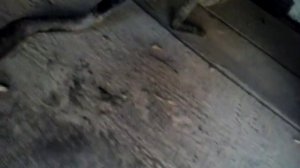 Стук в вариаторе