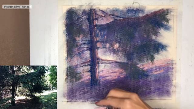 HOW TO DRAW TREES WITH SOFT PASTELS / Как рисовать деревья сухой пастелью. Пейзаж с елью