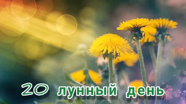 О Лунных Днях. 20 - ый Лунный День.