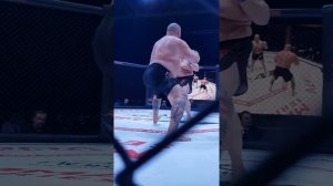 Макс Новоселов VS Аднан Алич