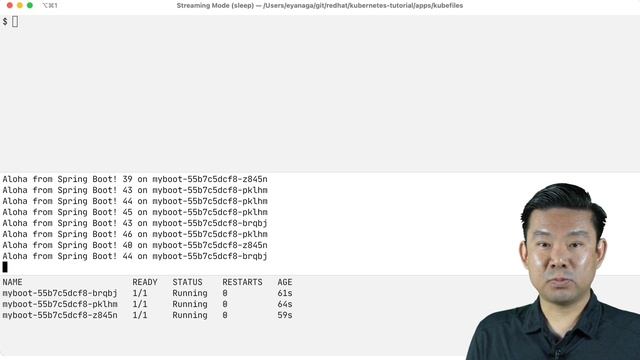 Liveness and Readiness Probes | DevNation Lessons смотреть онлайн
