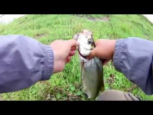Shimano 18 Aldebaran MGL. Тест и рыбалка. Краснопёр и верхогляд.