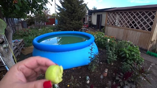 А так было ВСЁ СПОКОЙНО и ГАРМОНИЧНО!!! Вечер на ДАЧЕ ПЕРЕСТАЛ БЫТЬ ТОМНЫМ/НО МУЖЕНЁК всё ИСПОРТИЛ смотреть онлайн