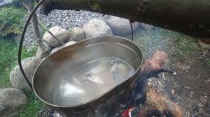 УХА ИЗ ФОРЕЛИ .ВКУСНЕЙШИЙ РЕЦЕПТ.