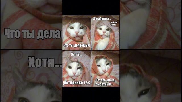 #мемы#реки#втоп смотреть онлайн