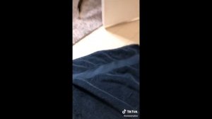 Oh no Oh no Oh no no no song | animals TikTok compilation