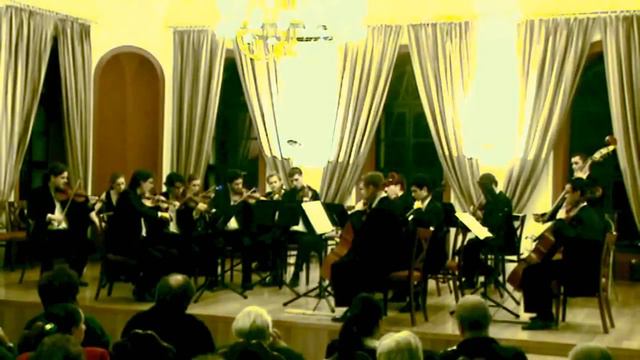 Anima Musicae Chamber Orchestra  - Tchaikovsky Serenade for Strings in C major Op. 48. смотреть онлайн