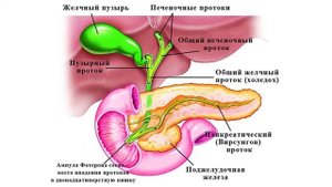 Можно ли раздробить камни в желчном пузыре лазером, не удаляя сам пузырь?