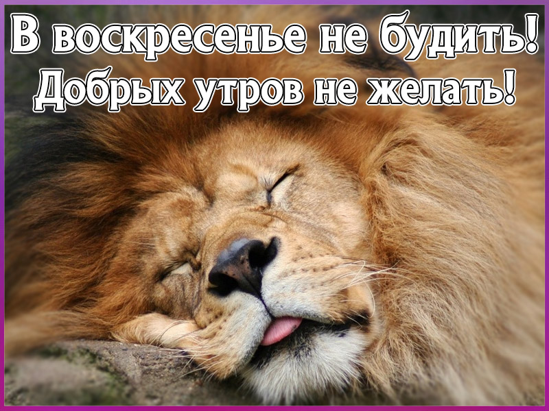 Пожелание Доброго Воскресного Утра