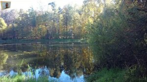 Осень Золотая. Измайловский лес! Красота октябрьской осени.