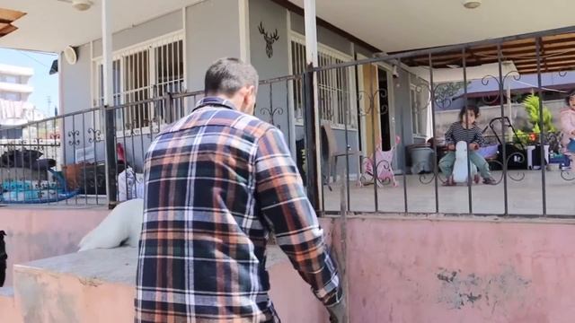 MUHABBET KUŞUNU BU HALDE BULDUM! Görünce Şok oldum ! смотреть онлайн