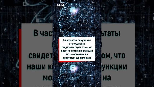 Мозг и квантовые вычисления, мозг это компьютер, вычисления, наш мозг, наука в России, ИНК, #shorts