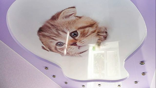 НАТЯЖНЫЕ ПОТОЛКИ 3D с фотопечатью/3D потолок смотреть онлайн