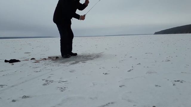 Окунь, бомбочка, бешеный клев, Печенежское водохранилище, 20 декабря 2020 смотреть онлайн