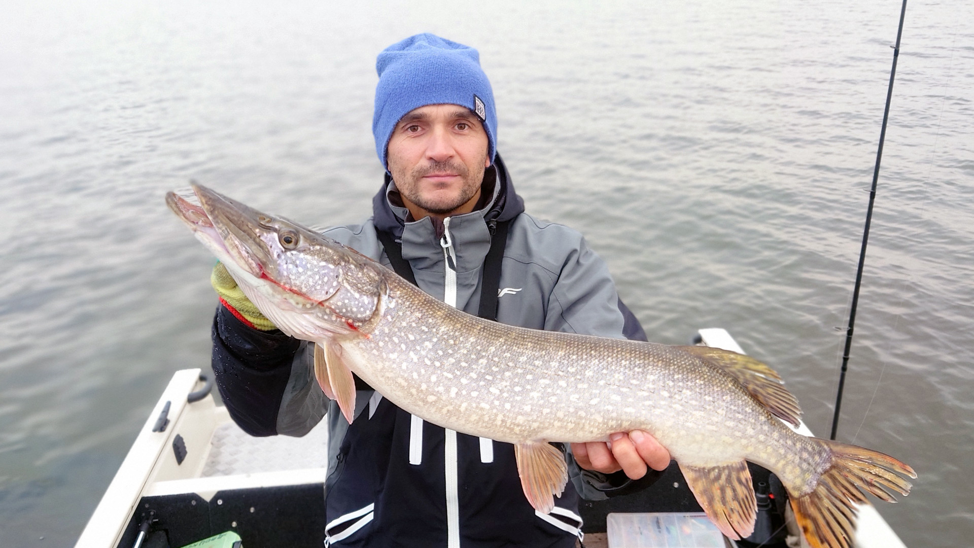 Эти СЛОНЫ РАЗГИБАЮТ КРЮЧКИ. Рыбалка на спиннинг осенью. смотреть онлайн