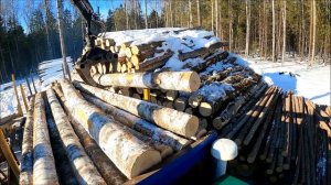 Возим лес, пока есть дороги. Поставил ещё одну запаску