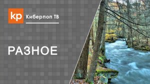 Доказательства веры. Истинная вера. Истинность православия