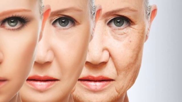 ЧТО ТВОРИТ Денежное дерево Толстянка! Многие не знают об этом! смотреть онлайн