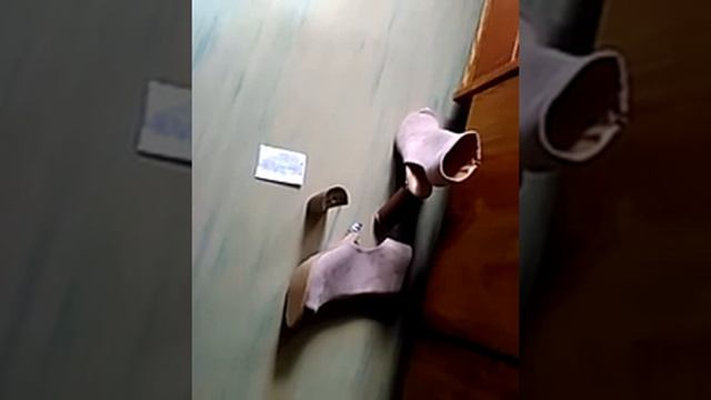 различное-сЕМЕЙСТВО лЕВАНОВЫХ ПРОДАЕТ НЕКАЧЕСТВЕННУЮ ОБУВЬ смотреть онлайн