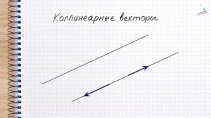 Понятие вектора. Равенство векторов. Откладывание вектора от данной точки