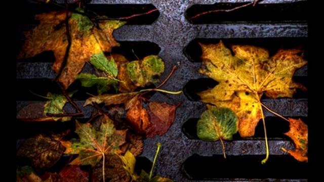 6 Океанов - Руки Милой Пара Лебедей... смотреть онлайн